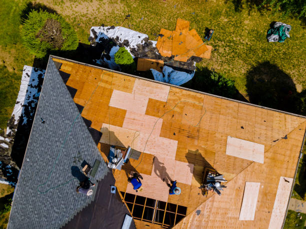 Best Roof Maintenance Services  in Crane, TX