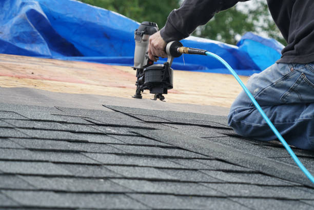 Best Flat Roof Repair Services  in Crane, TX
