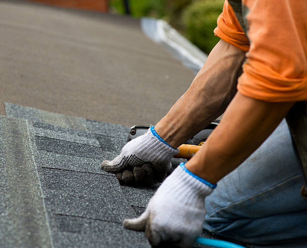 Best Roof Leak Repair  in Crane, TX